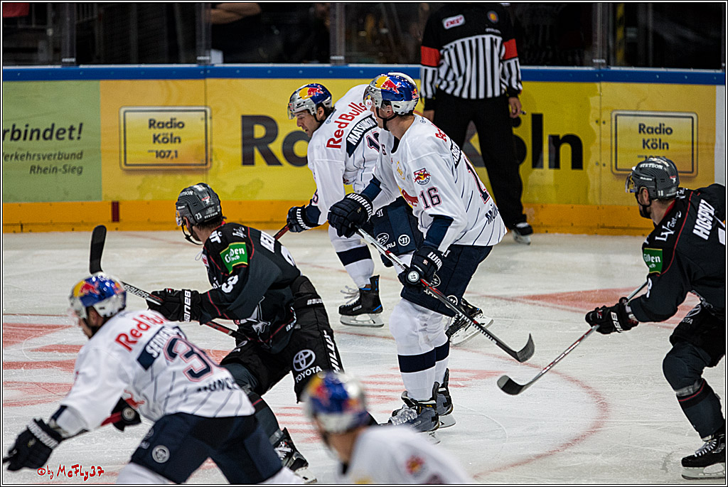 Koelner Haie - EHC Red Bull Muenchen , 16.09.16(KW37)